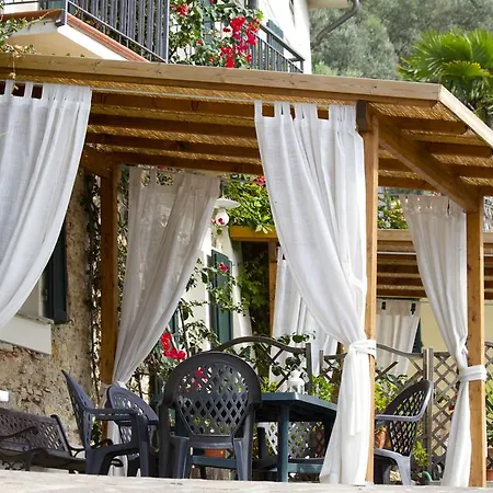 La Lucertola Pugnano