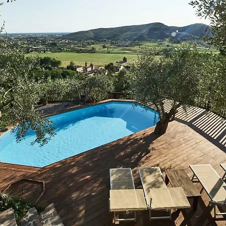 La Lucertola Pugnano