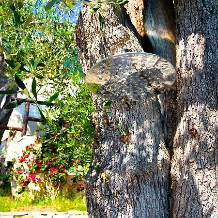 La Lucertola Дом отдыха *