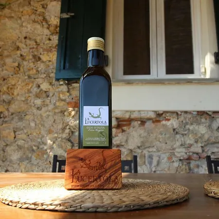 La Lucertola Дом отдыха *